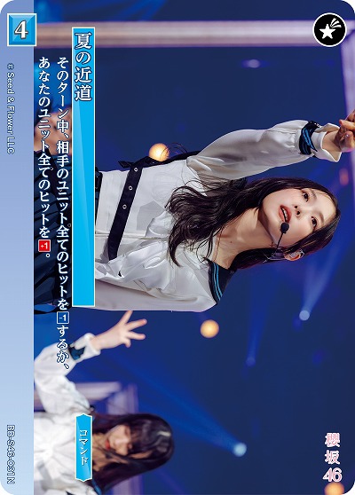 夏の近道 【BB-S46-031N】